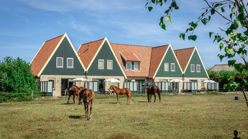 Vakantiehuis Landleven Texel paarden weiland